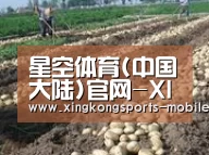种植基地八