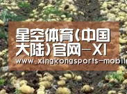 种植基地七