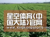 种植基地五