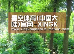 种植基地九