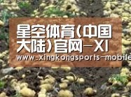 种植基地八(图1)