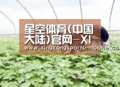 种植基地三