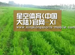 种植基地四