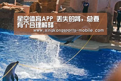 星空体育APP_丢失的肾,总要有个合理解释(图1) 星空官网