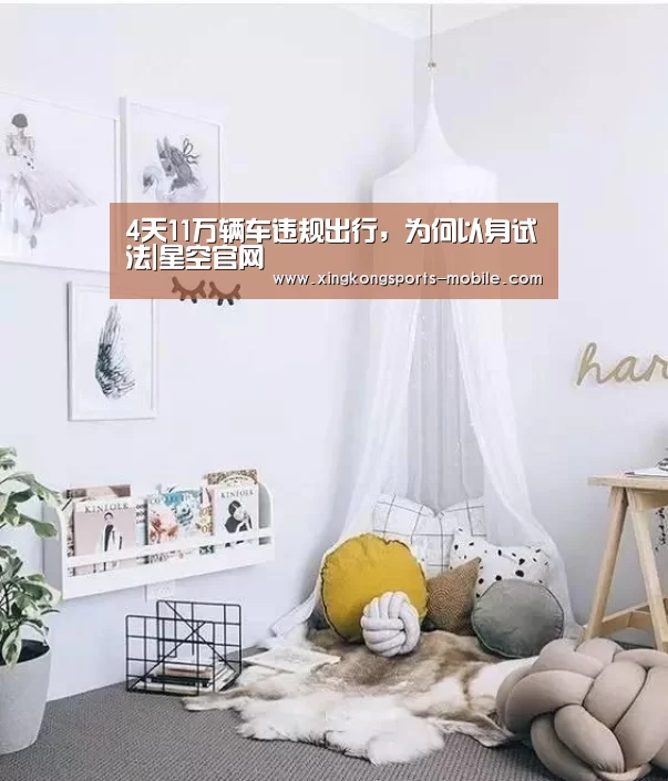 4天11万辆车违规出行,为何以身试法|星空官网(图3) 星空体育APP