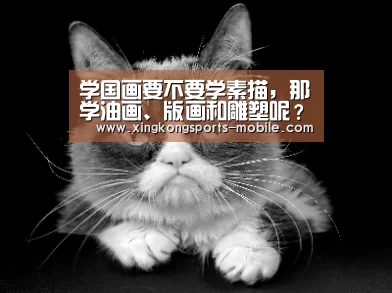 <h1>学国画要不要学素描,那学油画、版画和雕塑呢?【星空】(图2) 星空官网