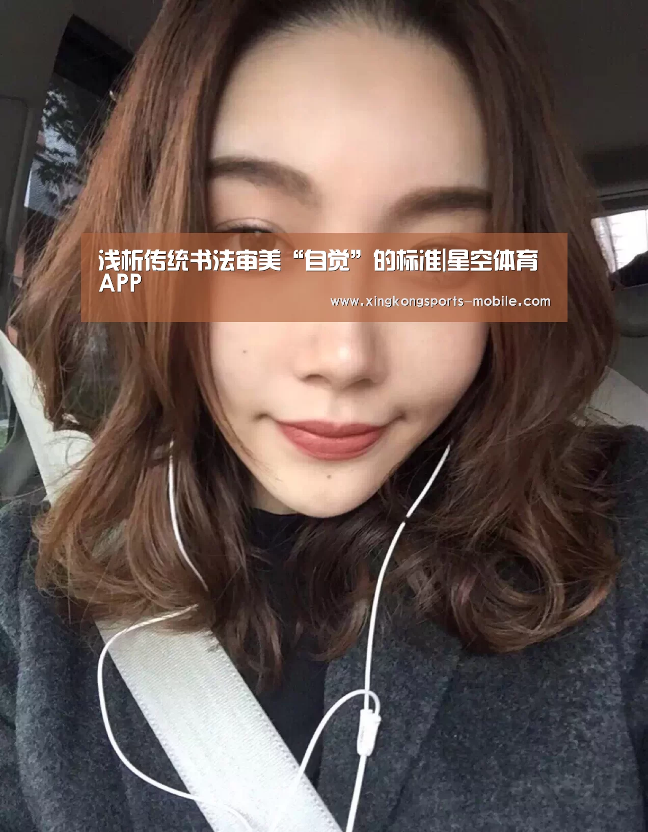 浅析传统书法审美“自觉”的标准|星空体育APP(图1) 星空官网