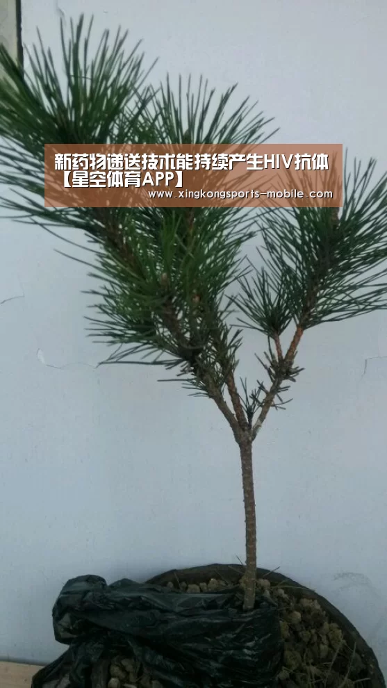 新药物递送技术能持续产生HIV抗体【星空体育APP】(图1) 星空官网