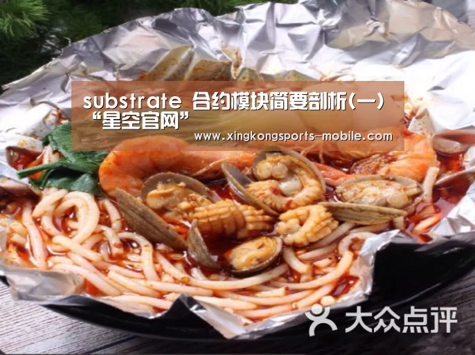 substrate 合约模块简要剖析(一)“星空官网”(图2) 星空