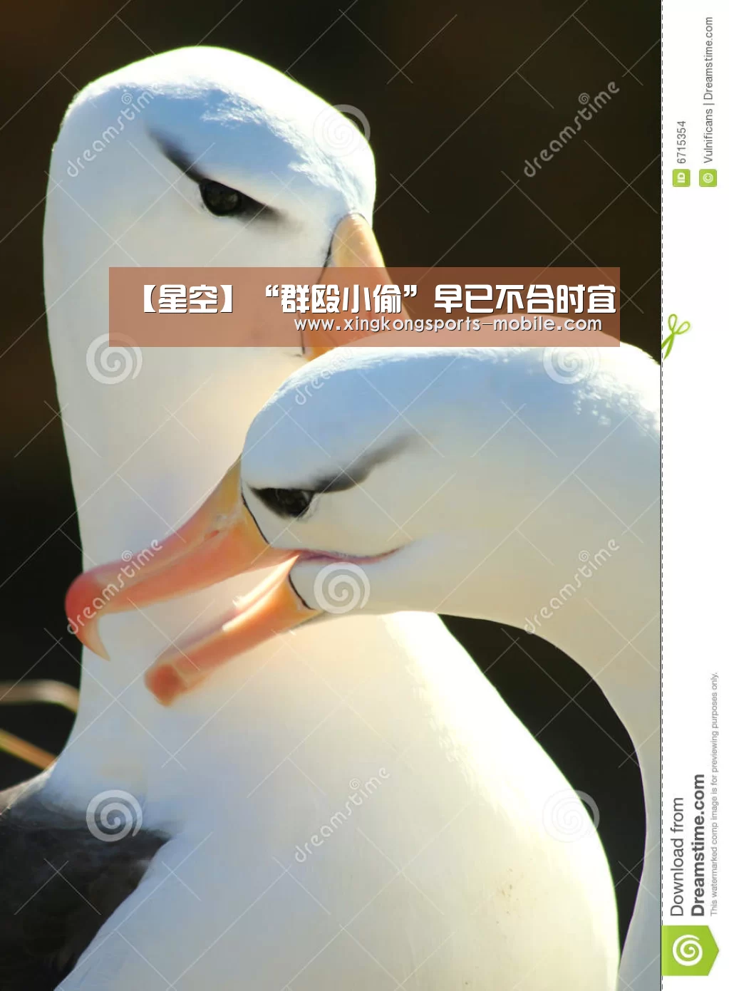 星空官网