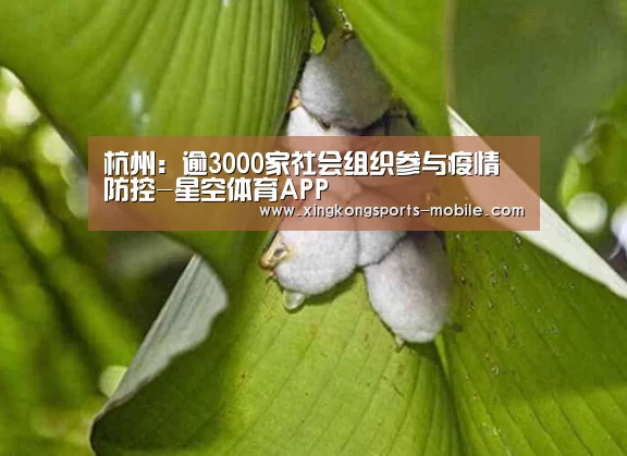 杭州:逾3000家社会组织参与疫情防控-星空体育APP(图1) 星空官网