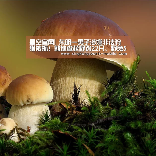 星空官网|
东明一男子涉嫌非法狩猎被抓!就地查获野鸡22只、野兔55只....(图2) 星空